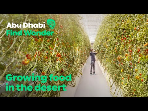 , title : 'Abu Dhabi Find Wonder | Pure Harvest Smart Farms: Sustainable food production'