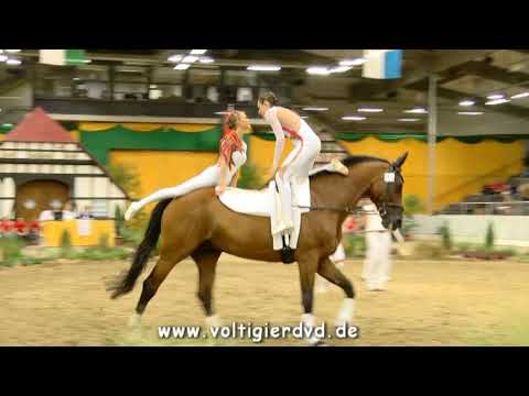 Hungen I - Team 08 - DMV Verden 2017