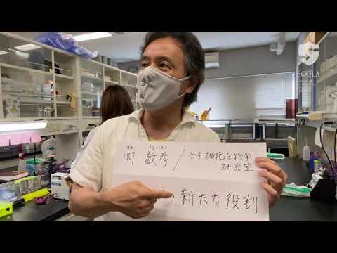 教育学科 【立教・理・生命】岡敏彦研究室