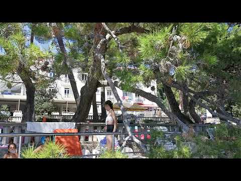 20190809  KRK HOTEL BOR