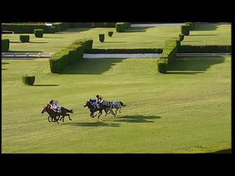 18 giugno 2022 - 5a corsa: GRAN CORSA SIEPI D'ITALIA