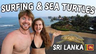 Travel vlog - Is Hikkaduwa Sri Lanka's BEST Beach Vacation Spot? | Sea Turtles and Surfing