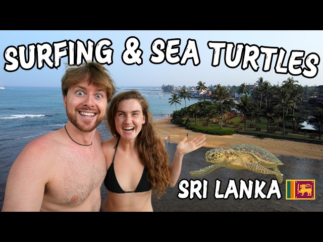 Travel vlog - Is Hikkaduwa Sri Lanka's BEST Beach Vacation Spot? | Sea Turtles and Surfing