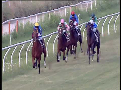 Galoppo 27/07/2019 - 2ª corsa