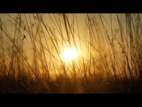 Prayer from the Baha'i Writings - "Gentle Winds"