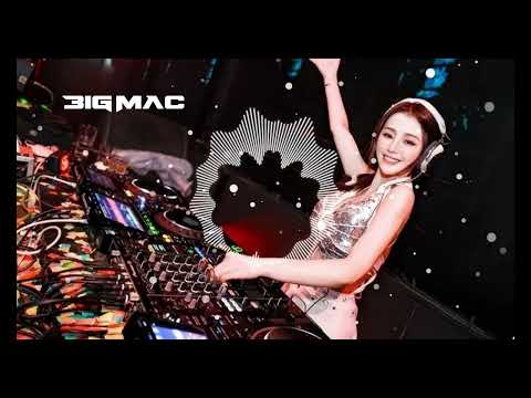 DJ Big Mac【kik kik kik】《Bing Bong Vina x Fxxking Banger x Simon x 队长 - 11》Mixtape 2k25