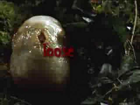 slither move trailer I made