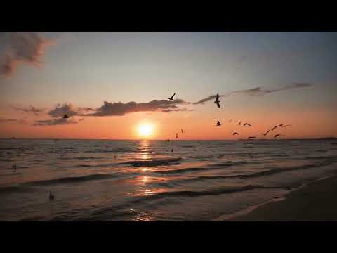 Michelle Maciel, Edén Muñoz, Panter Bélico - CCC Remix