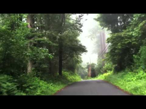 A ride in Arcata, Ca