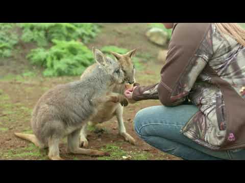 Taralga Wildlife Park