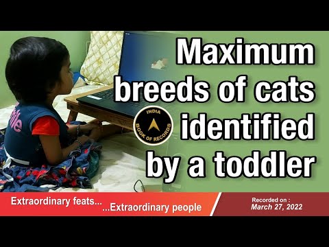 Maximum breeds of cats identified by a toddler