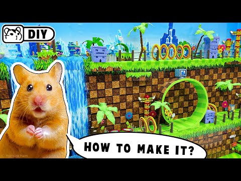 DIY - How to make Sonic Maze 🐹 Hamster Handcraft 🐹 Homura Ham