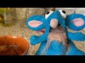 Cooking With Crisp Rat HOT HOT CHOCOLATE