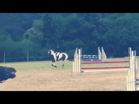 ES Endless Possibilities at 2* Grand Prix show