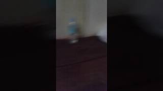 Download lagu Ayy kikilu cous mp3