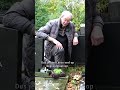 "Ik ga er altijd even bij liggen, om ze goed te kunnen zien" ?? #shorts | RTV Drenthe