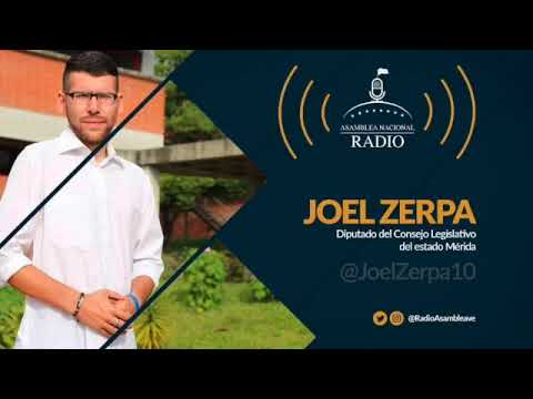 Joel Zerpa denunció que municipios de Mérida tardan hasta un mes para recibir combustible