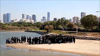 האדמור מפרמישלאן בתשליך בירקון