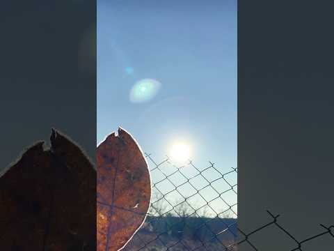 Kehidupan di Moldova, Bună Dimineața 🇲🇩🇮🇩❤️ #nature #villagelife