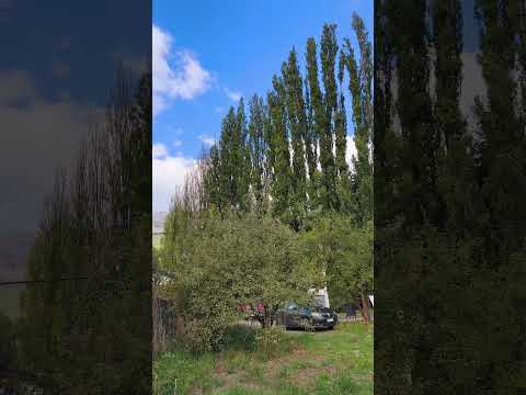 Terreno de 307 m2 en 18.000 usd El Bolson - Rio Negro