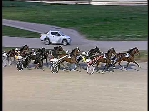 Trotto 12/11/2019 - 5ª corsa