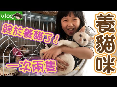 【Vlog】妞妞終於養貓了[NyoNyoTV妞妞TV玩具]