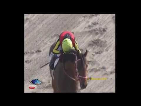 Tokyo Yushun (Japanese Derby) 2012 - Deep Brillante