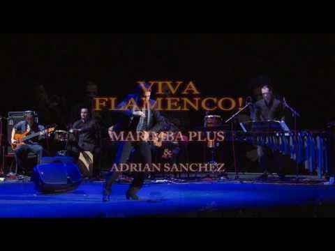 Ethnodrive - Viva, Flamenco! Marimba Plus feat. Adrian Sanchez