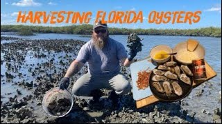 How to harvest, clean, and charbroil your own Florida oysters!