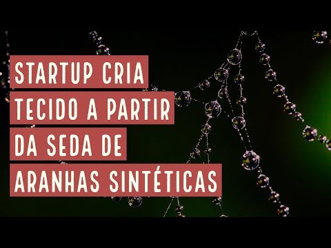 Startup creates fabric from synthetic spider silk