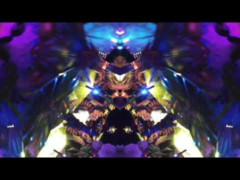 Indian Spirit 2021 auf 🍄👽Pilze Trip