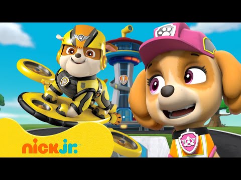 Capa de Patrulha Canina | Filhotes da Patrulha Canina Trocando de Funções! ↔ 90 Minutos | Nick Jr.