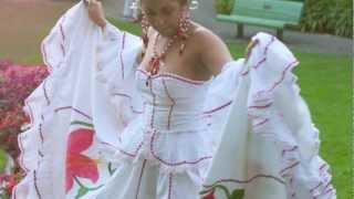 Cumbia Soledeña - El Toro Negro