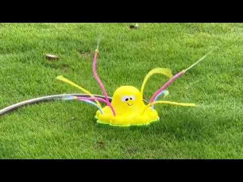 Vandsprinkler Blæksprutte