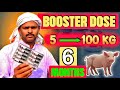 Benefits Of Giving A Booster Dose What Are The Benefits Of Giving A Booster Dose To Gain Weight