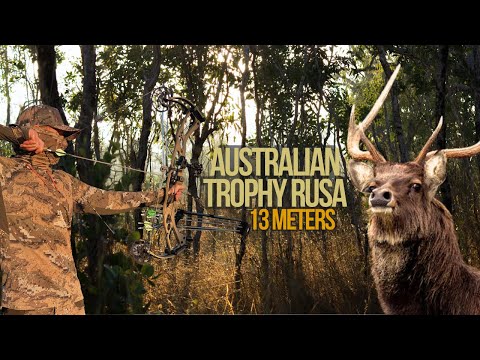 Hunting Deer in Australia Close Range. TROPHY RUSA STAG taken at 13m with a BOW! MUST SEE BOWHUNTING