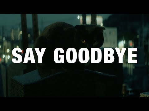 Video thumbnail for SAY GOODBYE