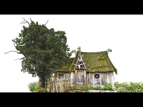 Mei Nochbor (Mein Nachbar) - Friedel Kehrer & Stecki Steckroth