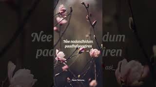 Download lagu 💕Thavamindri Kidaitha 💕Anbu 💕 #vidyasagar #musicuniverse8152 #videolyrics #tamilsong mp3 Download lagu 💕Thavamindri Kidaitha 💕Anbu 💕 #vidyasagar #musicuniverse8152 #videolyrics #tamilsong mp3