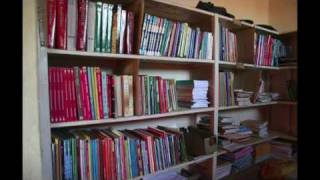 William Kamkwamba: How I harnessed the wind