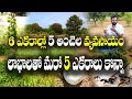 5 అంచెల పద్ధతిలో 365 రోజులూ ఆదాయం 5 Layer Farming 36