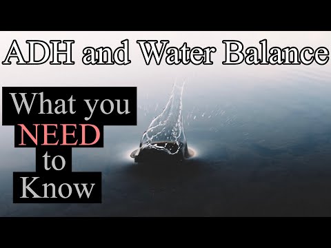 What you NEED to know about Water Balance and ADH (Antidiuretic Hormone) | Renal Physiology