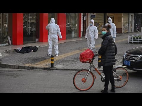 WELTjournal: China - Wettlauf mit dem Virus [DOKU HD 2020]