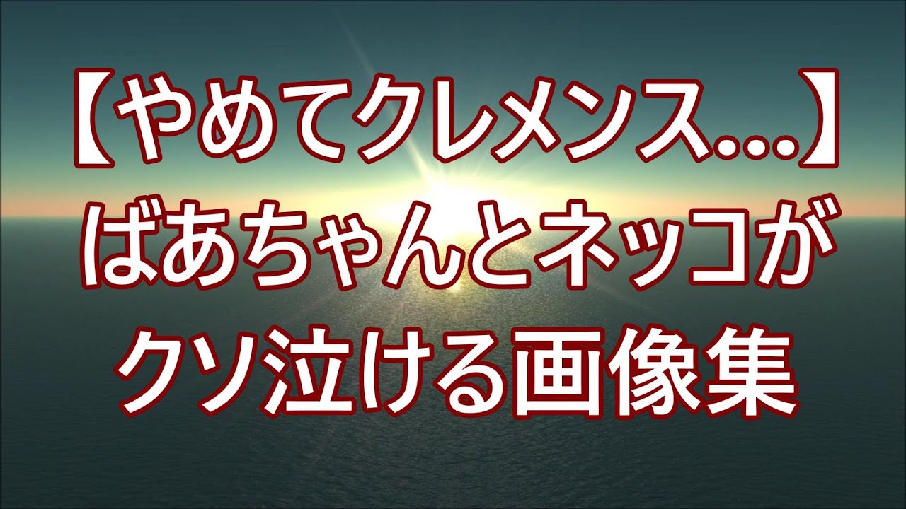 【やめてクレメンス…】ばあちゃんとネッコがクソ泣ける画像【感動】