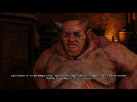 The Witcher 3: Wild Hunt Playthrough #21