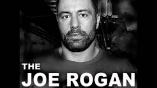 Joe Rogan - raising people