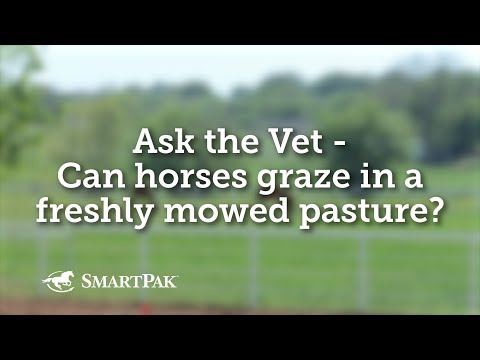 YouTube video about: How long to keep horses off pasture after mowing?
