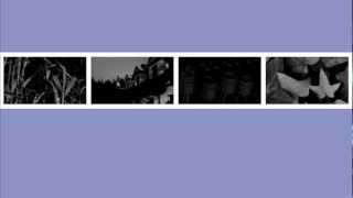 Hopesfall - The Broken Heart Of A Traitor