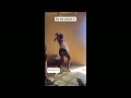 Silwane Igidangoma Itshitshi Girl Zulu Dance