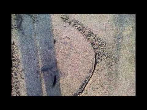 Live While We're Young by One Direction - Rapormacbri